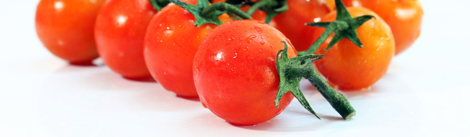 闲鱼卡密便宜的免费呼叫轰炸神器ios