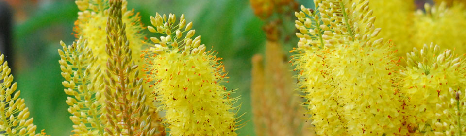 短信免费轰炸网页入口